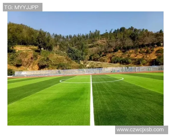 天然足球草坪的优势与维护技巧探讨助力绿色运动场地建设
